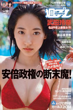 杨门女将一共多少集